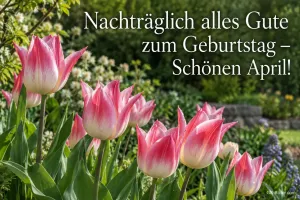 Rosa-weiße Tulpen im Frühlingsgarten, Text: Nachträglich alles Gute zum Geburtstag – Schönen April!