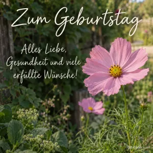 Rosa Schmuckkörbchen im Garten, Text: Zum Geburtstag – Alles Liebe, Gesundheit und viele erfüllte Wünsche!