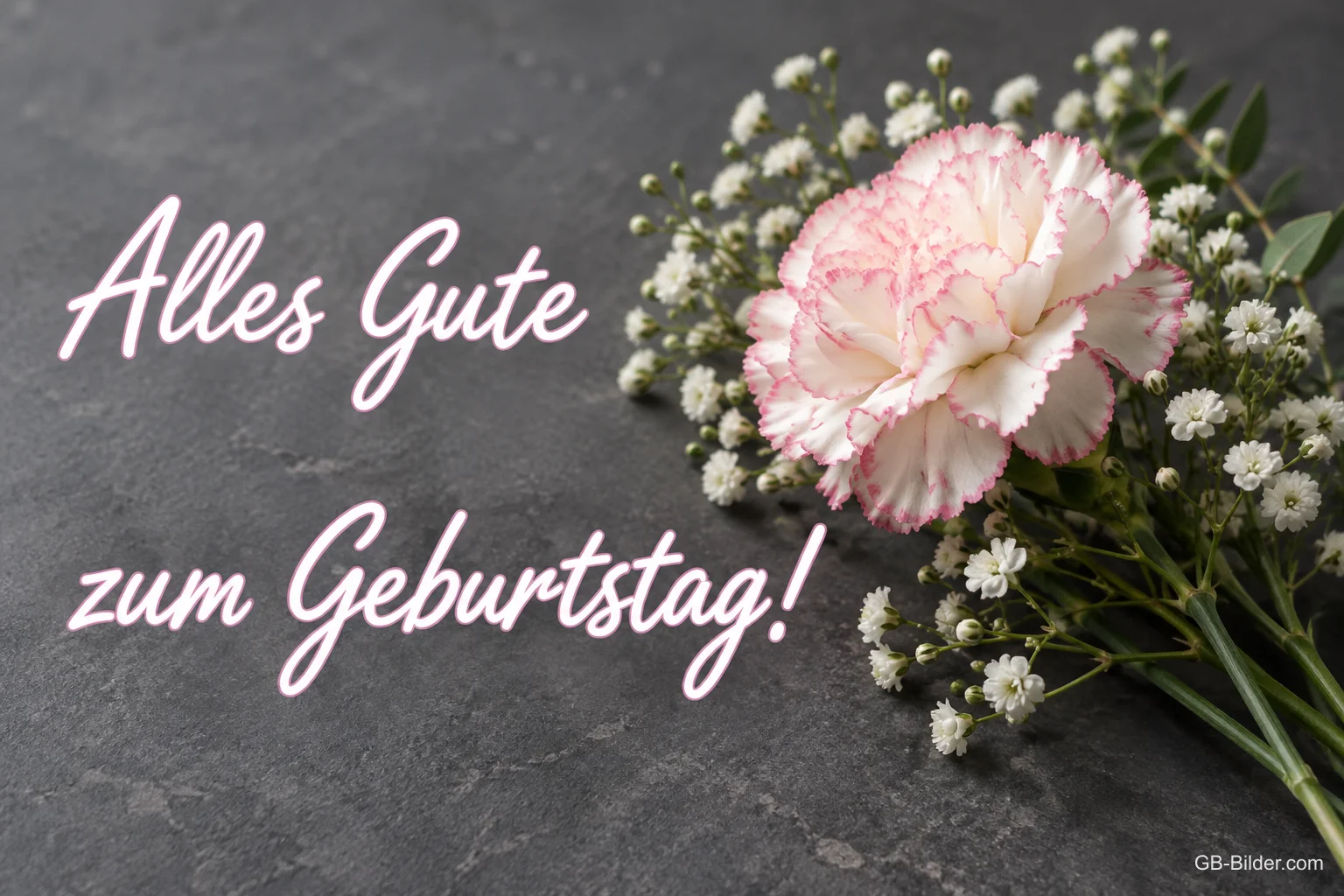 Rosa-weiße Nelke mit Schleierkraut auf grauem Stein, Text: Alles Gute zum Geburtstag!