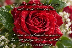 Rote Rose mit Wassertropfen, Text: Du hast mir das Lachen gezeigt, mich von der Trauer befreit. Du hast mir Geborgenheit gegeben, hast mir gezeigt, wie es ist, zu leben. Alles Liebe zum Geburtstag!