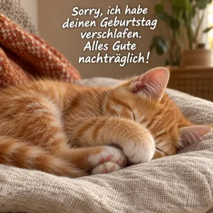 Rotes Kätzchen schläft auf einem Kissen, Text: Sorry, ich habe deinen Geburtstag verschlafen. – Alles Gute nachträglich!