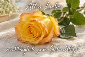 Gelbe Rose auf einem hellen Tuch, Text: Alles Liebe – nachträglich zum Geburtstag!