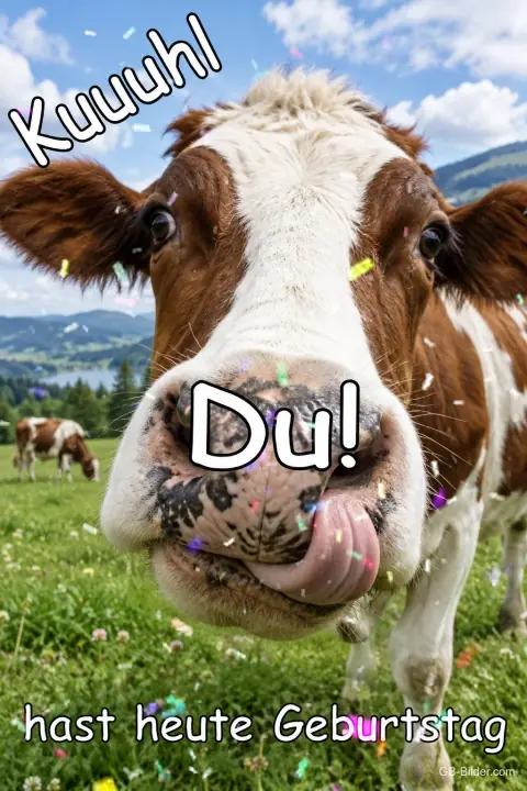 Kuh streckt die Zunge raus auf einer Almwiese, Text: Kuuuhl – Du! hast heute Geburtstag