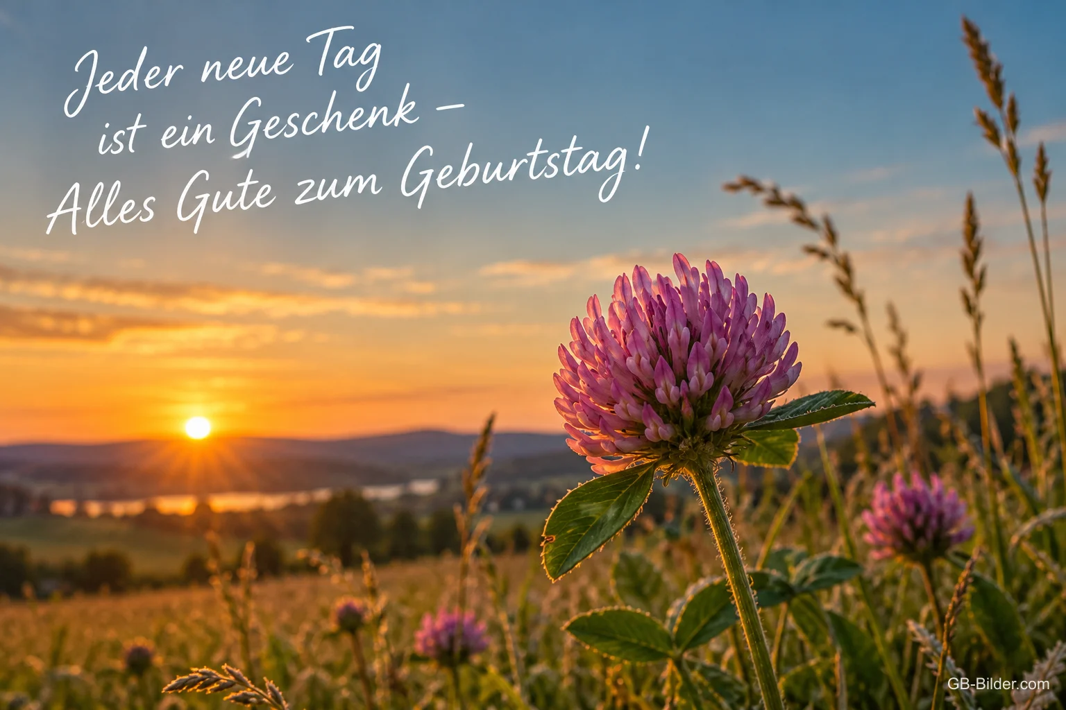 Kleeblüte im Sonnenuntergang, Text: Jeder neue Tag ist ein Geschenk