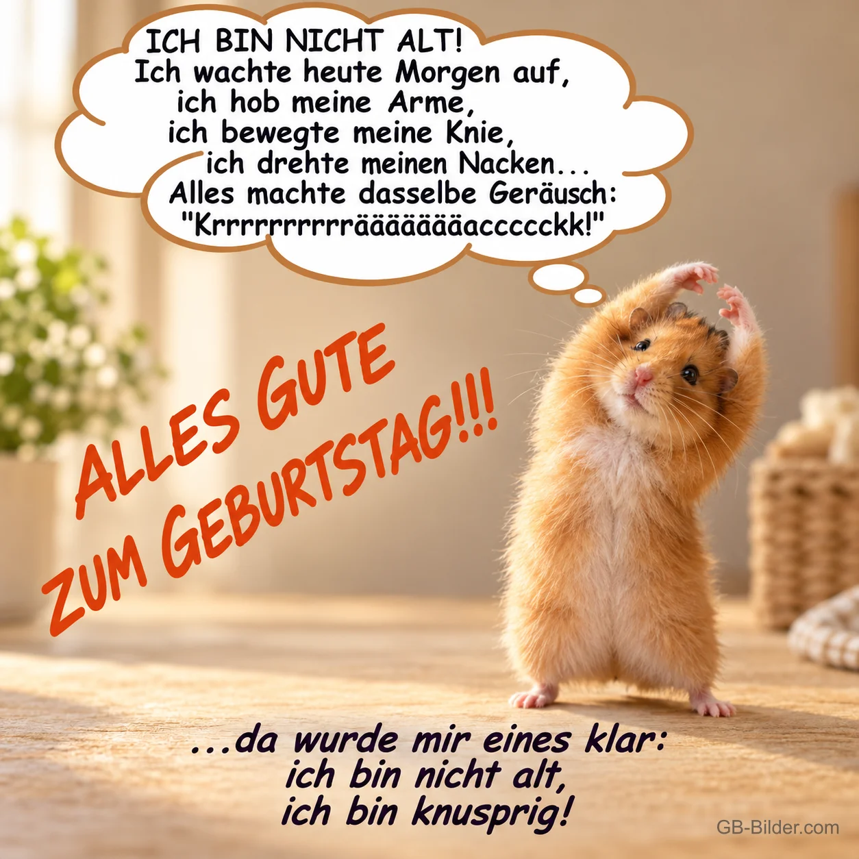 Sich dehnender Hamster, lustiger Geburtstagsspruch, Text: ICH BIN NICHT ALT