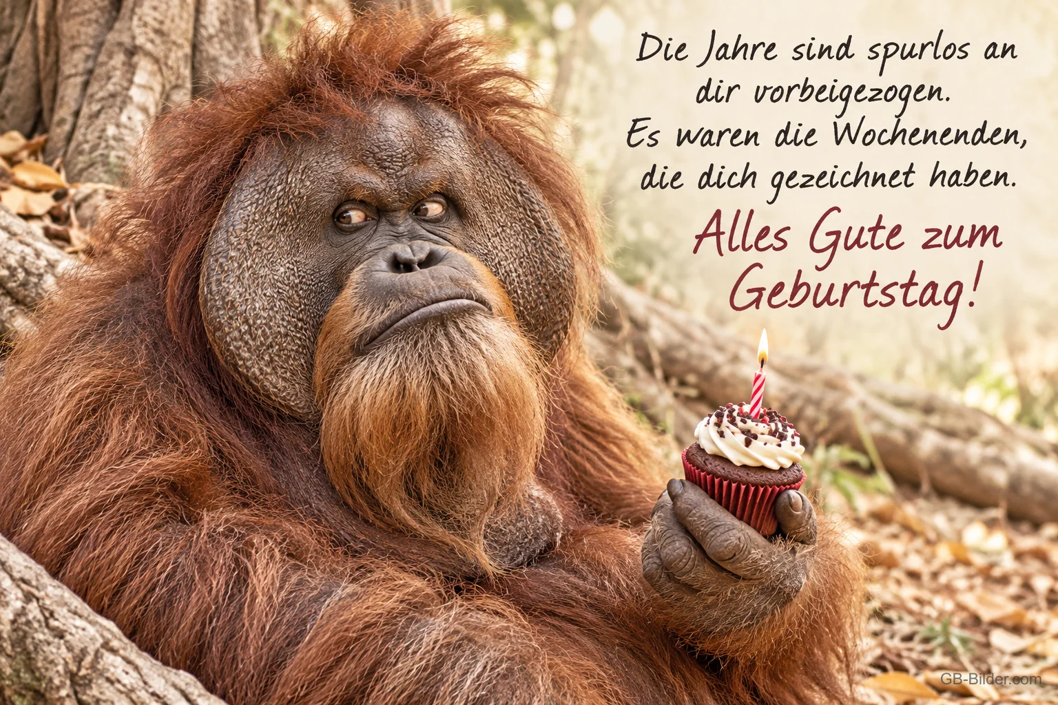 Orang-Utan hält skeptisch einen Cupcake mit Kerze, Text: Die Jahre sind spurlos an dir vorbeigezogen. Es waren die Wochenenden, die dich gezeichnet haben. Alles Gute zum Geburtstag!