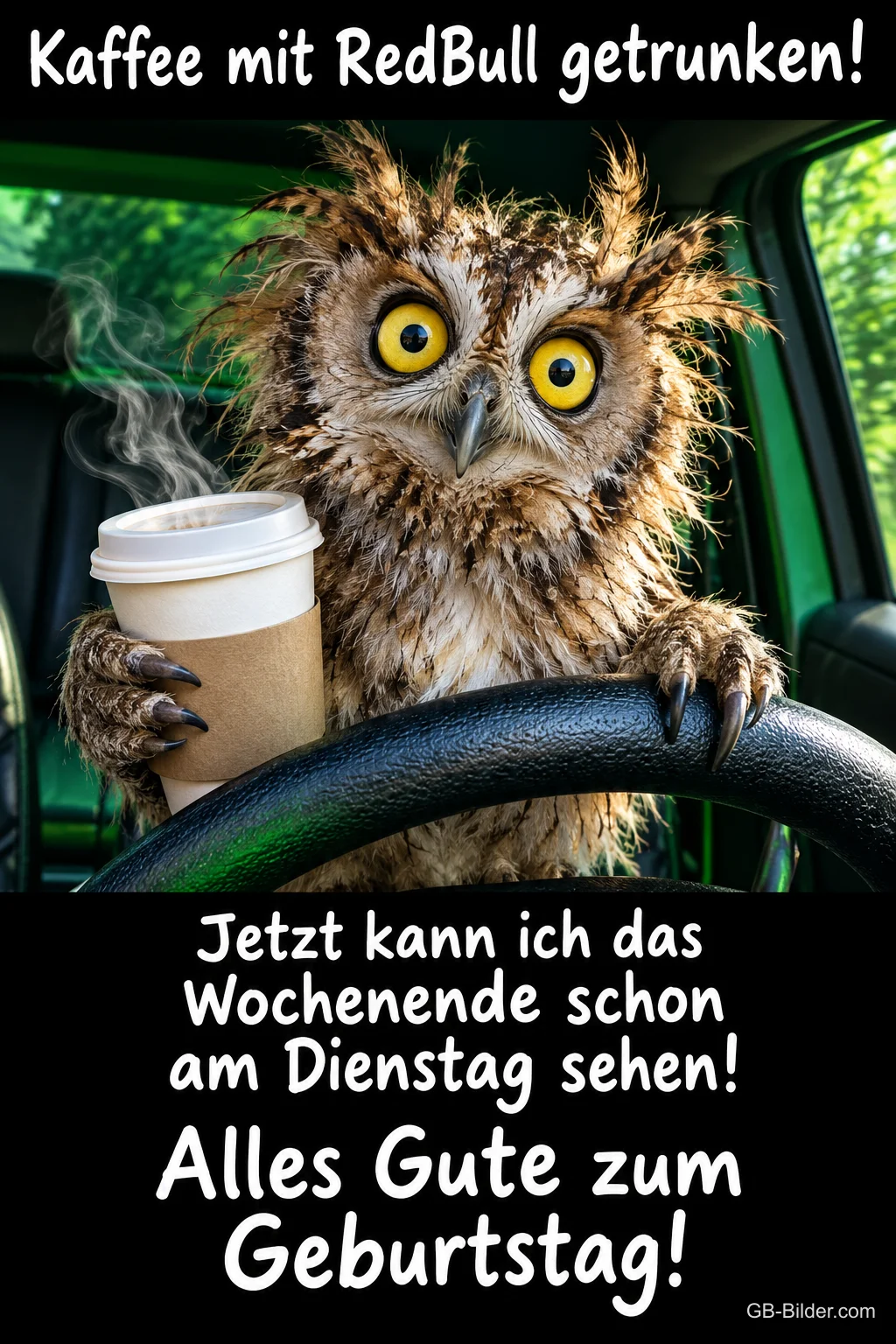 Zerzauste Eule mit Kaffeebecher sitzt am Lenkrad eines Autos, Text: Kaffee mit RedBull getrunken! Jetzt kann ich das Wochenende schon am Dienstag sehen! Alles Gute zum Geburtstag!