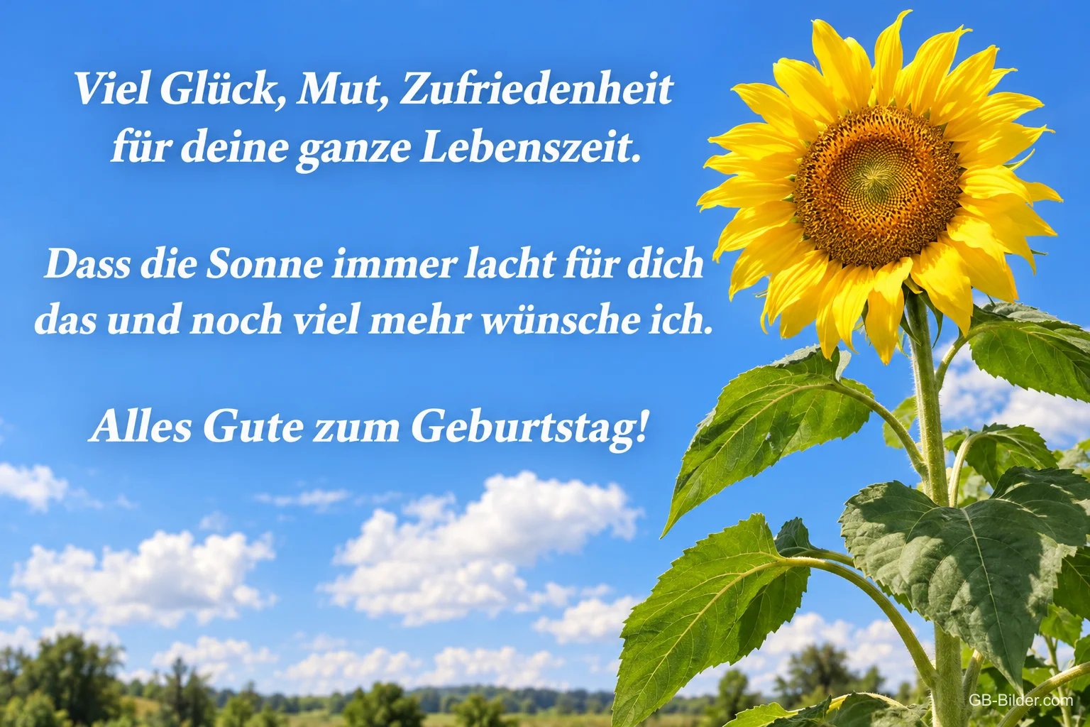 Sonnenblume vor blauem Himmel mit Wolken, Text: Viel Glück, Mut, Zufriedenheit für deine ganze Lebenszeit. Dass die Sonne immer lacht für dich, das und noch viel mehr wünsche ich. Alles Gute zum Geburtstag!