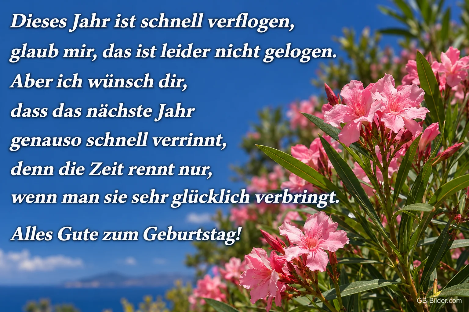 Rosa Oleander vor blauem Himmel, Text: Dieses Jahr ist schnell verflogen, glaub mir, das ist leider nicht gelogen. Aber ich wünsch dir, dass das nächste Jahr genauso schnell verrinnt, denn die Zeit rennt nur, wenn man sie sehr glücklich verbringt. Alles Gute zum Geburtstag!
