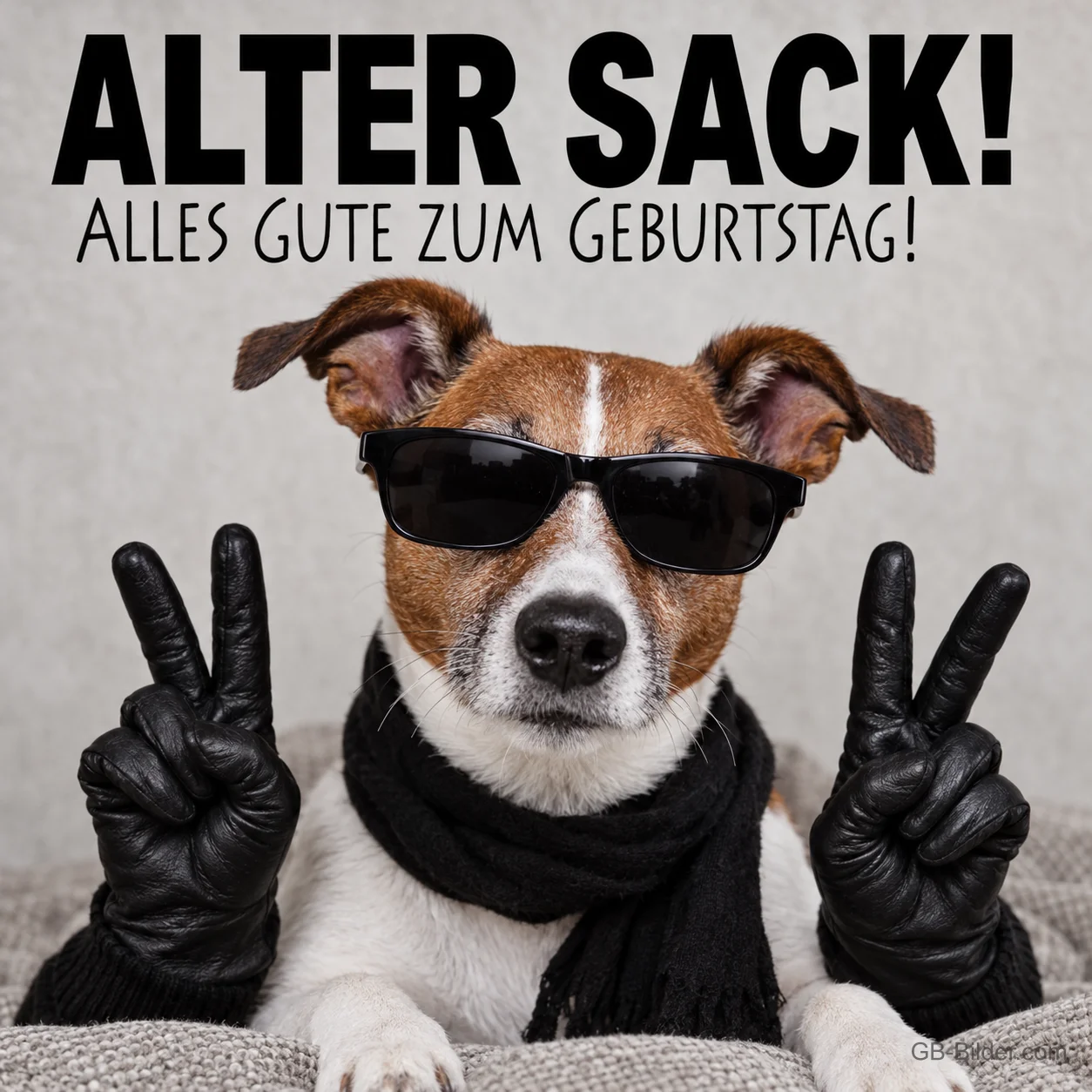 Hund mit Sonnenbrille und Handschuhen zeigt Victory-Zeichen, Text: Alter Sack! Alles Gute zum Geburtstag!