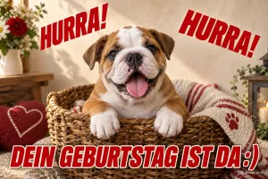 Fröhliche junge Bulldogge im Korb, Text: Hurra! Hurra! Dein Geburtstag ist da