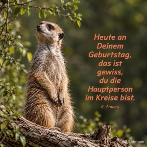Aufrecht stehendes Erdmännchen, Text: Heute an Deinem Geburtstag bist du die Hauptperson im Kreise. – K. Anders
