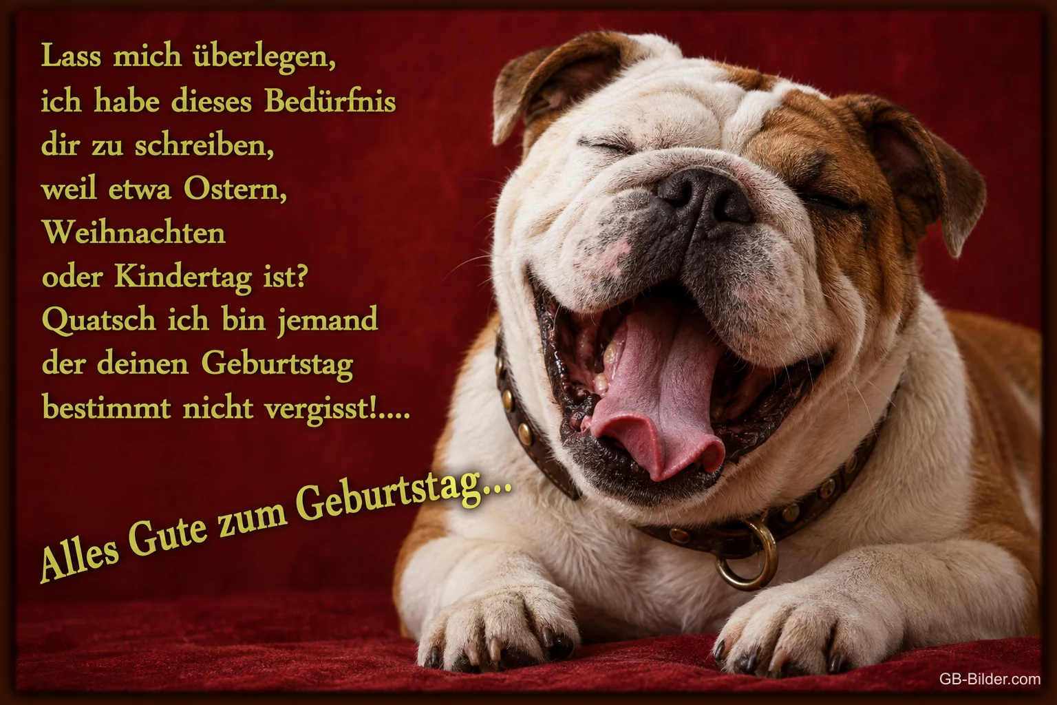 Lachende Englische Bulldogge, Text: Ich bin jemand, der deinen Geburtstag bestimmt nicht vergisst! Alles Gute zum Geburtstag