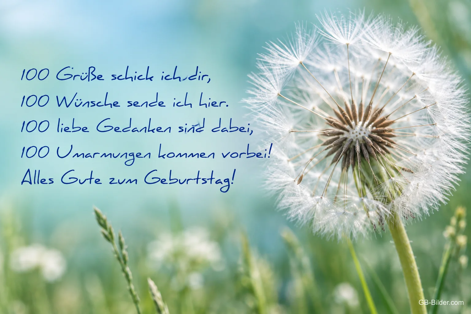 Pusteblume auf einer Wiese, Gedicht: 100 Grüße schick ich dir. Alles Gute zum Geburtstag!