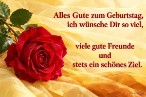 Rote Rose auf gelber Seide, Text: Alles Gute zum Geburtstag, viele gute Freunde und stets ein schönes Ziel.