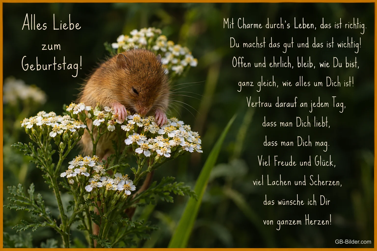 Haselmaus auf Schafgarbenblüten, Geburtstagsgedicht: Mit Charme durch's Leben