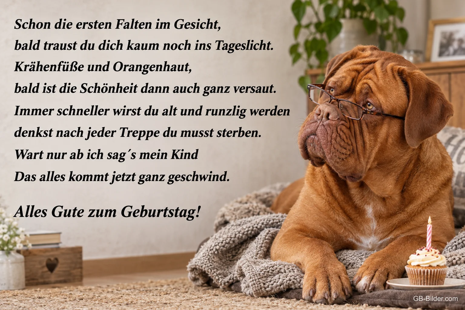 Bordeauxdogge mit Brille und Cupcake, lustiges Geburtstagsgedicht über Falten