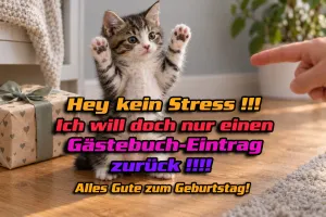 Kätzchen hebt die Pfoten, lustiger Text: Hey kein Stress! Alles Gute zum Geburtstag!