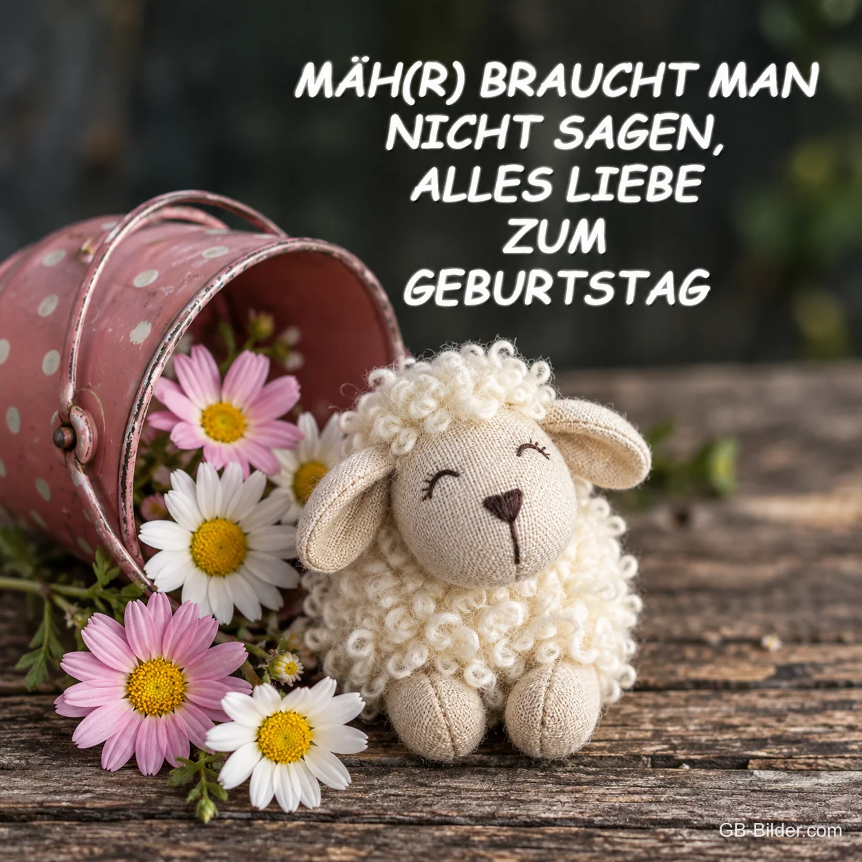Stoffschaf neben einem rosa Eimer mit Gänseblümchen, Text: MÄH(R) BRAUCHT MAN NICHT SAGEN, ALLES LIEBE ZUM GEBURTSTAG Stoffschaf neben einem rosa Eimer mit Gänseblümchen, Text: MÄH(R) BRAUCHT MAN NICHT SAGEN, ALLES LIEBE ZUM GEBURTSTAG