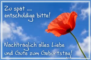 Rote Mohnblume vor blauem Himmel, Text: Zu spät …. entschuldige bitte! Nachträglich alles Liebe und Gute zum Geburtstag!