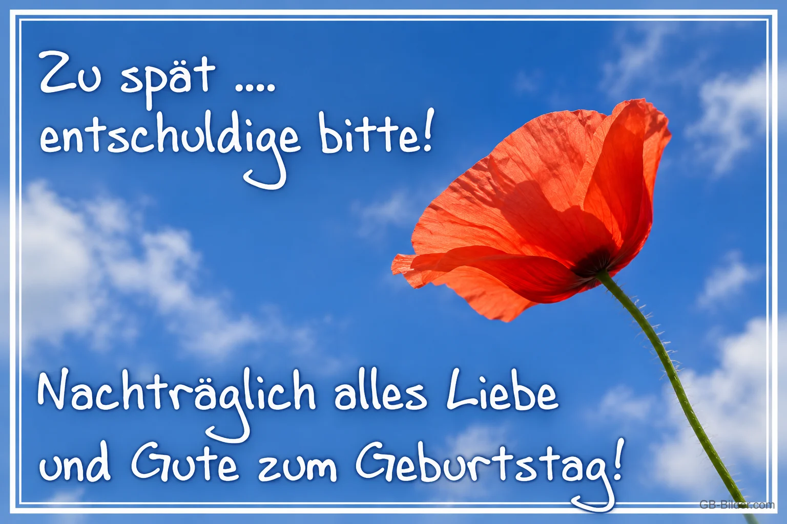 Rote Mohnblume vor blauem Himmel, Text: Zu spät …. entschuldige bitte! Nachträglich alles Liebe und Gute zum Geburtstag! Rote Mohnblume vor blauem Himmel, Text: Zu spät …. entschuldige bitte! Nachträglich alles Liebe und Gute zum Geburtstag!