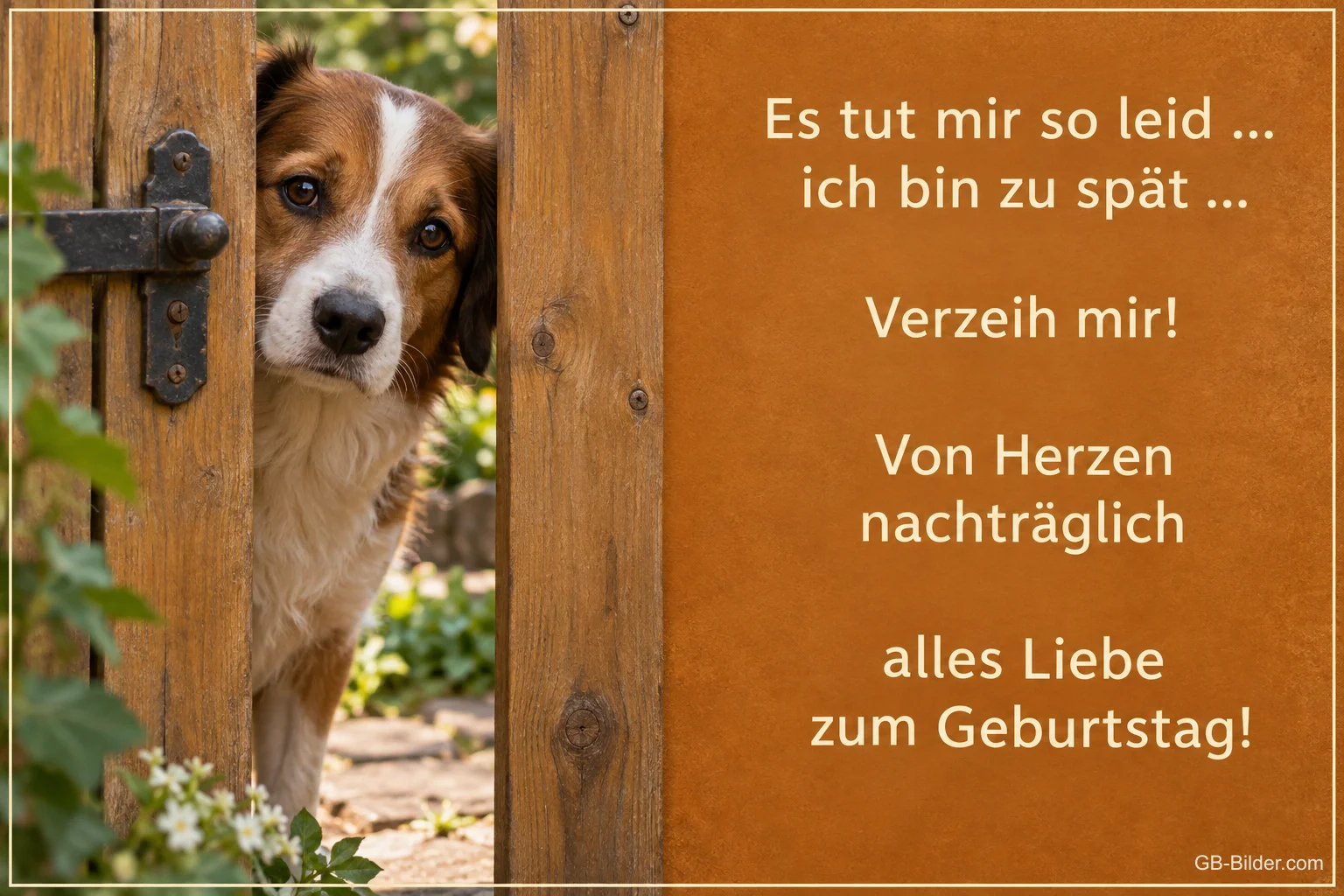 Hund schaut zerknirscht durch ein Holztor, Text: Es tut mir so leid … ich bin zu spät … Verzeih mir! Von Herzen nachträglich alles Liebe zum Geburtstag!