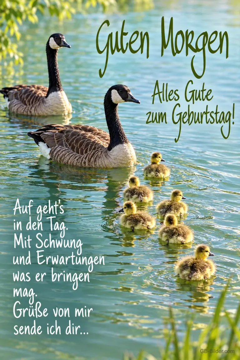 Kanadagänse mit Küken auf einem See, Text: Guten Morgen – Alles Gute zum Geburtstag! Auf geht’s in den Tag. Mit Schwung und Erwartungen was er bringen mag. Grüße von mir sende ich dir…