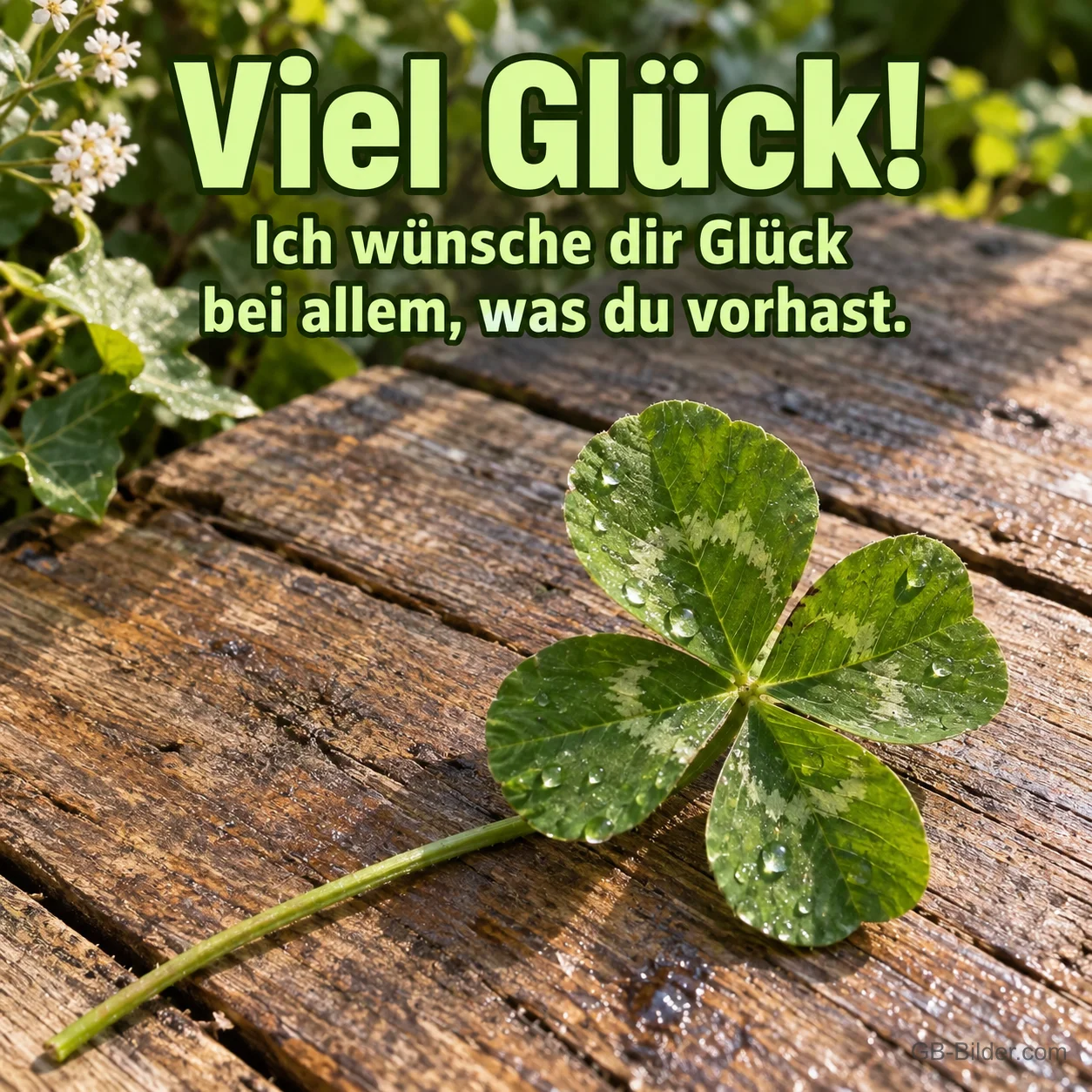 Vierblättriges Kleeblatt auf Holz, Text: Viel Glück! Ich wünsche dir Glück bei allem, was du vorhast. Vierblättriges Kleeblatt auf Holz, Text: Viel Glück! Ich wünsche dir Glück bei allem, was du vorhast.
