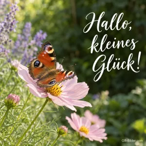 Tagpfauenauge auf einer Blüte, Text: Hallo, kleines Glück!