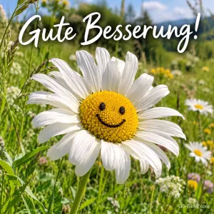 Margerite mit Smiley-Gesicht auf einer Wiese, Text: Gute Besserung!