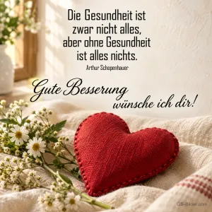 Rotes Stoffherz und Kamillenstrauß auf einer Decke, Text: Die Gesundheit ist zwar nicht alles, aber ohne Gesundheit ist alles nichts. – Arthur Schopenhauer – Gute Besserung wünsche ich dir!