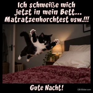 Katze springt aufs Bett, Text: Ich schmeiße mich jetzt in mein Bett
