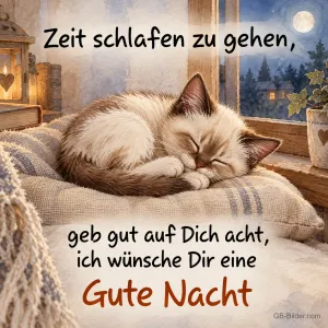 Schlafende Siamkatze, Text: Zeit schlafen zu gehen, geb gut auf Dich acht, ich wünsche Dir eine Gu