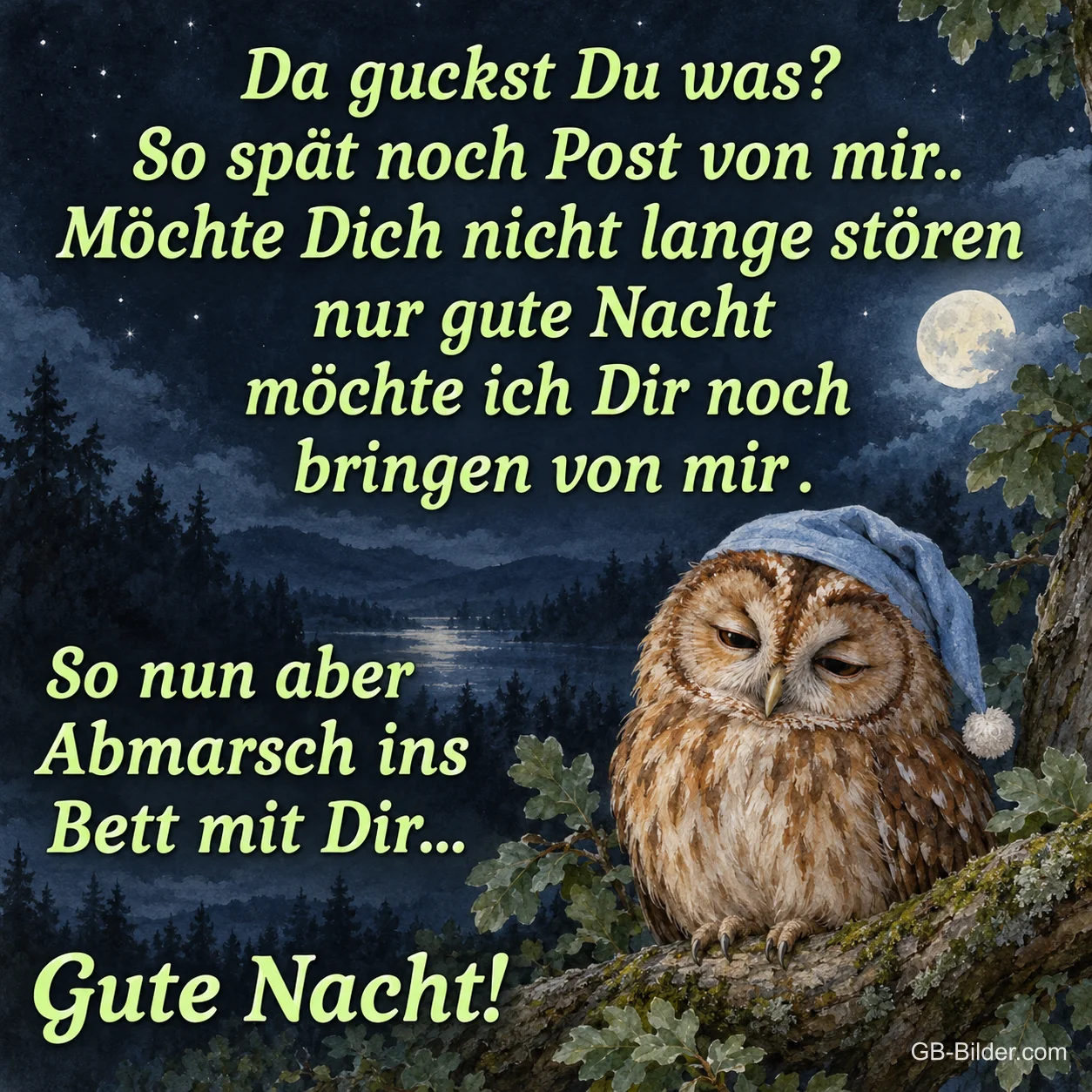 Waldkauz mit Schlafmütze, Text: Da guckst Du was Waldkauz mit Schlafmütze, Text: Da guckst Du was