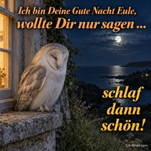 Schleiereule am Fenster, Text: Ich bin Deine Gute Nacht Eule, wollte Dir nur sagen