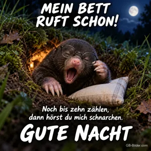 Maulwurf mit Brille gähnt auf einem Kissen im Gras, Text: MEIN BETT RUFT SCHON! Noch bis zehn zählen, dann hörst du mich schnarchen. GUTE NACHT
