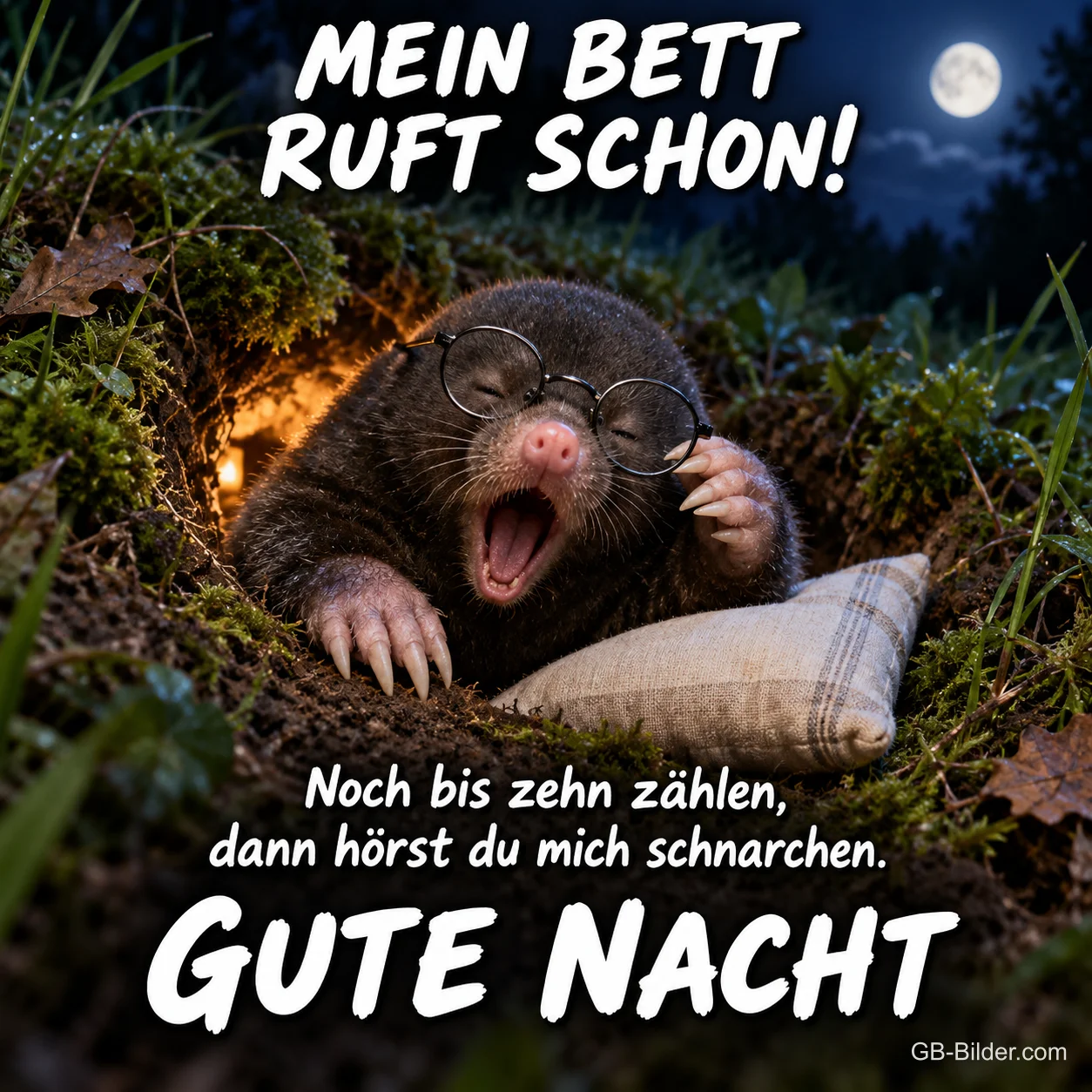 Maulwurf mit Brille gähnt auf einem Kissen im Gras, Text: MEIN BETT RUFT SCHON! Noch bis zehn zählen, dann hörst du mich schnarchen. GUTE NACHT Maulwurf mit Brille gähnt auf einem Kissen im Gras, Text: MEIN BETT RUFT SCHON! Noch bis zehn zählen, dann hörst du mich schnarchen. GUTE NACHT