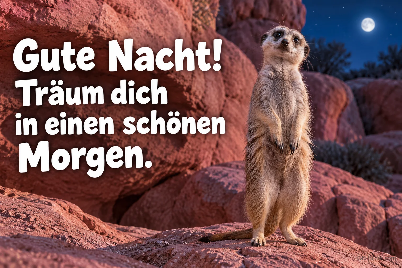 Erdmännchen steht aufrecht auf einem Felsen unter dem Mond, Text: Gute Nacht! Träum dich in einen schönen Morgen. Erdmännchen steht aufrecht auf einem Felsen unter dem Mond, Text: Gute Nacht! Träum dich in einen schönen Morgen.