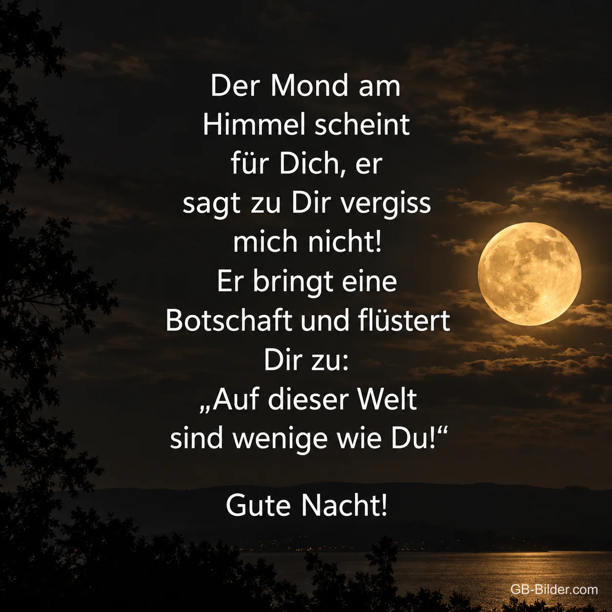 Vollmond über dem See, Gute-Nacht-Gedicht, Text: Der Mond am Himmel scheint für Dich, er sagt zu Dir vergiss mich nicht