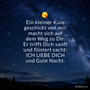 Sternenhimmel über dem Wald, Text: Ein kleiner Kuss geschickt von mir, macht sich auf dem Weg zu Dir