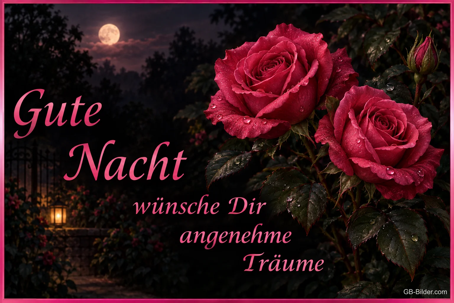 Rote Rosen mit Tautropfen im nächtlichen Garten, Text: Gute Nacht – wünsche Dir angenehme Träume
