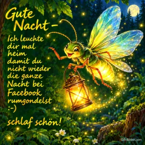 Glühwürmchen trägt eine leuchtende Laterne durch den nächtlichen Wald, Text: Gute Nacht – Ich leuchte dir mal heim damit du nicht wieder die ganze Nacht bei Facebook rumgondelst :-) schlaf schön!
