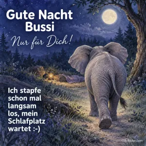 Elefant auf dem Waldweg bei Vollmond, Text: Gute Nacht Bussi