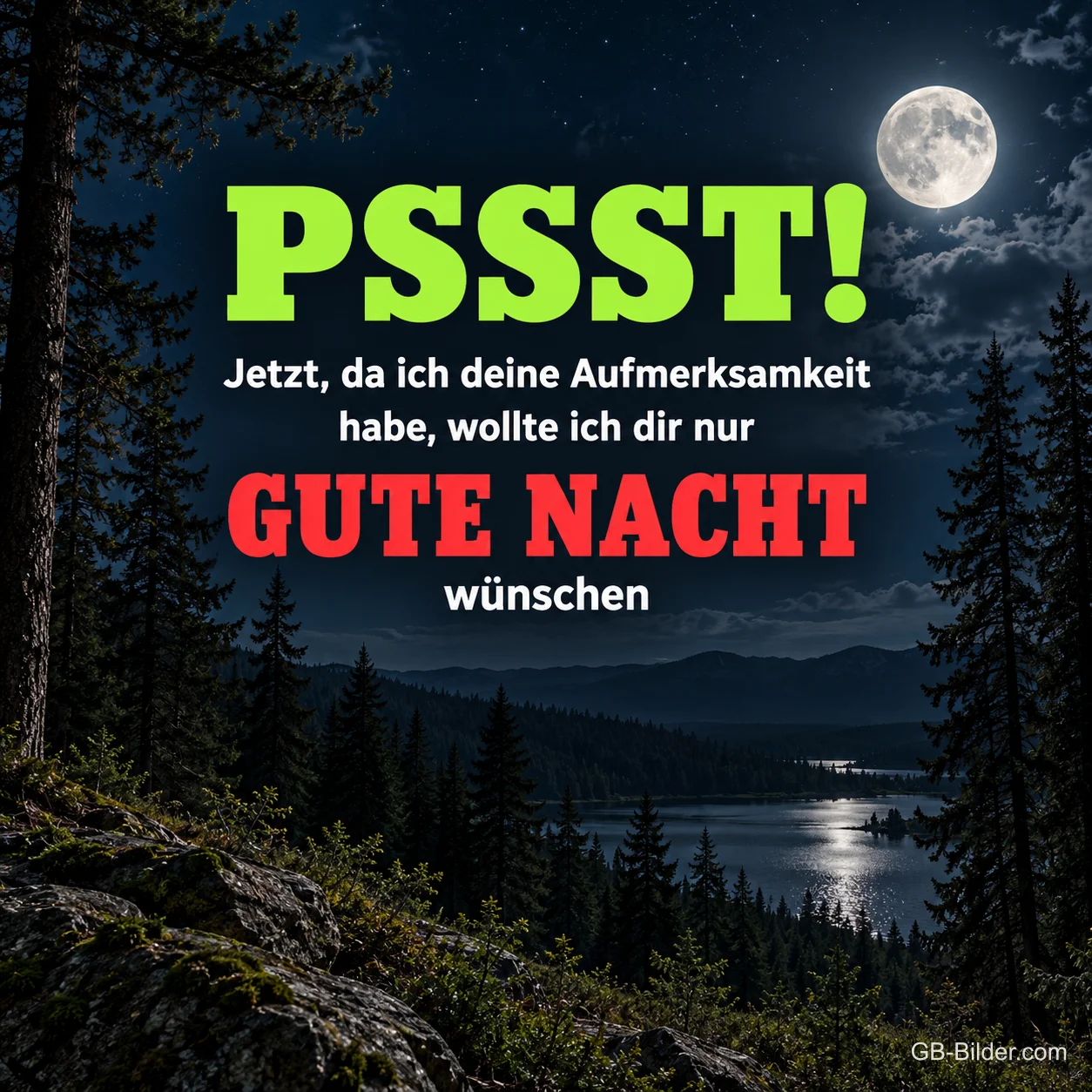 Wald und See im Mondschein, lustiger Gute-Nacht-Gruß, Text: PSSST Wald und See im Mondschein, lustiger Gute-Nacht-Gruß, Text: PSSST