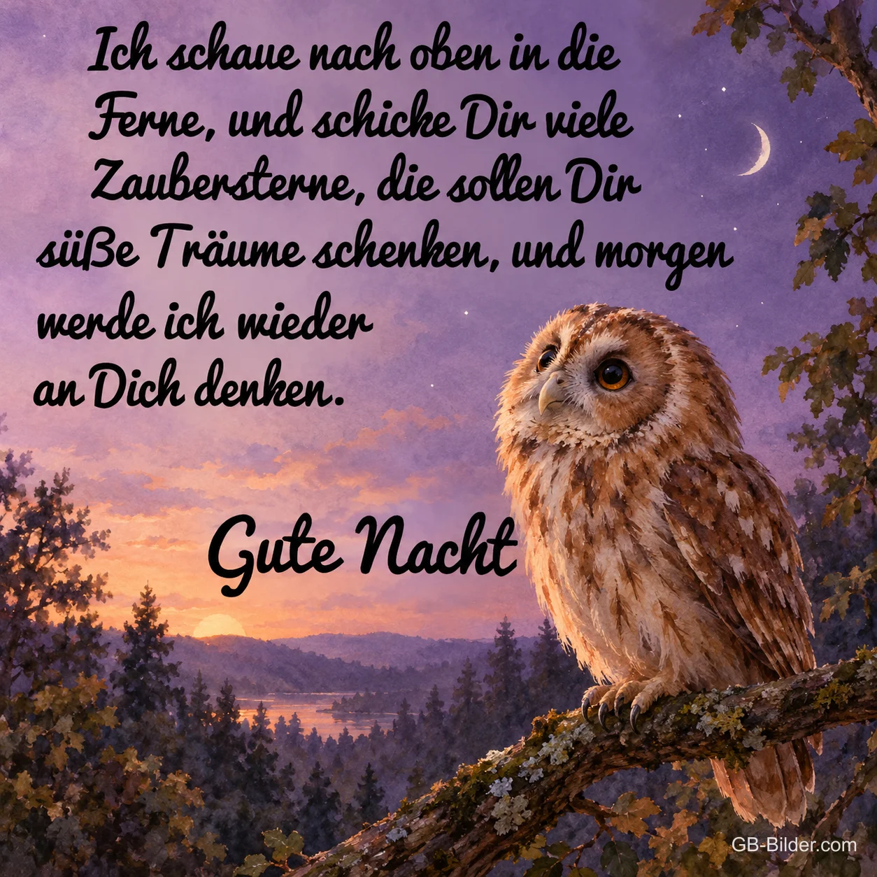 Waldkauz im Abendlicht, Gute-Nacht-Gedicht, Text: Ich schaue nach oben in die Ferne, und schicke Dir viele Zaubersterne,