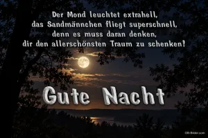 Vollmond über einem See hinter dunklen Bäumen, Text: Der Mond leuchtet extrahell, das Sandmännchen fliegt superschnell, denn es muss daran denken, dir den allerschönsten Traum zu schenken! Gute Nacht