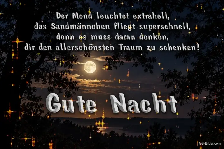 Vollmond über einem See hinter dunklen Bäumen, Text: Der Mond leuchtet extrahell, das Sandmännchen fliegt superschnell, denn es muss daran denken, dir den allerschönsten Traum zu schenken! Gute Nacht