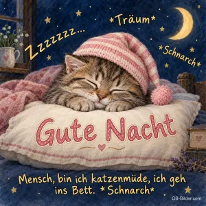 Kätzchen mit gestreifter Schlafmütze schläft auf einem Kissen, Text: Gute Nacht – Zzzzzz… *Träum* *Schnarch* Mensch, bin ich katzenmüde, ich geh ins Bett. *Schnarch*