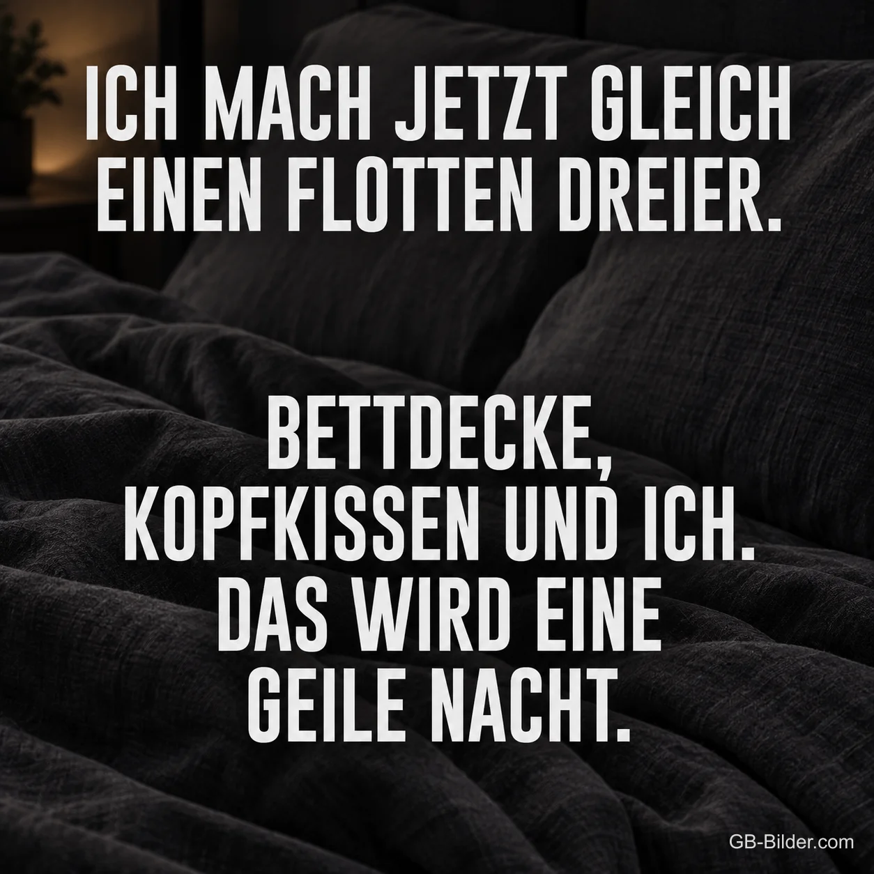 Schrift auf dunkler Bettwäsche, lustiger Gute-Nacht-Spruch, Text: Ich mach jetzt gleich einen flotten Dreier