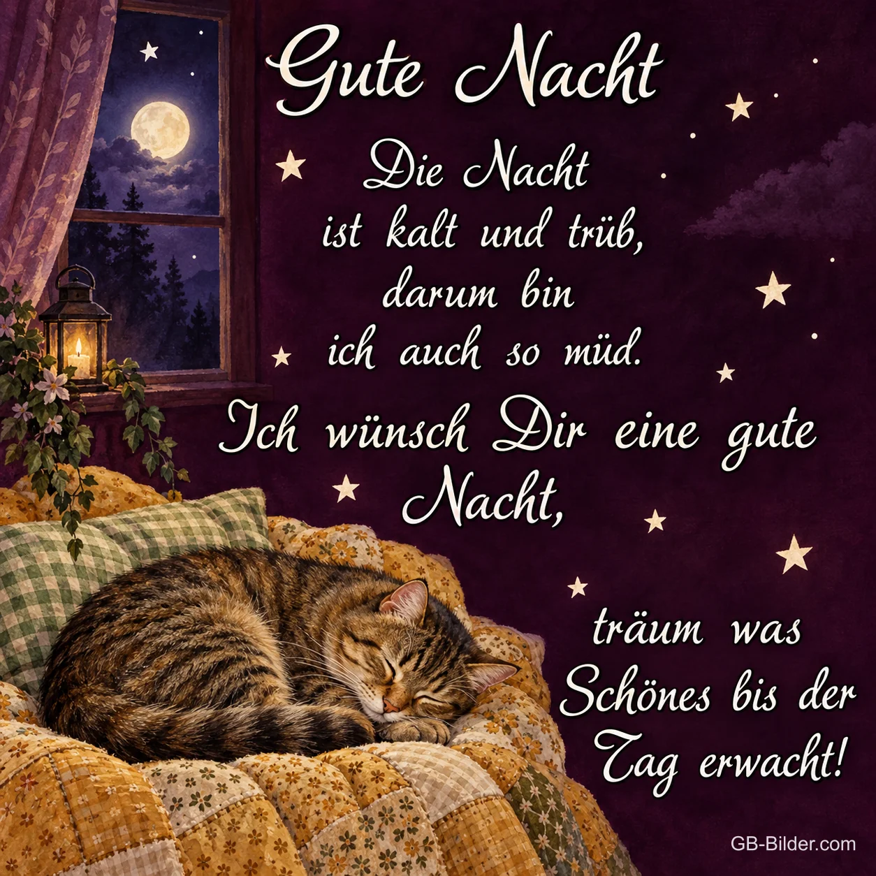 Schlafende Katze am Fenster, Gute-Nacht-Gedicht, Text: Gute Nacht